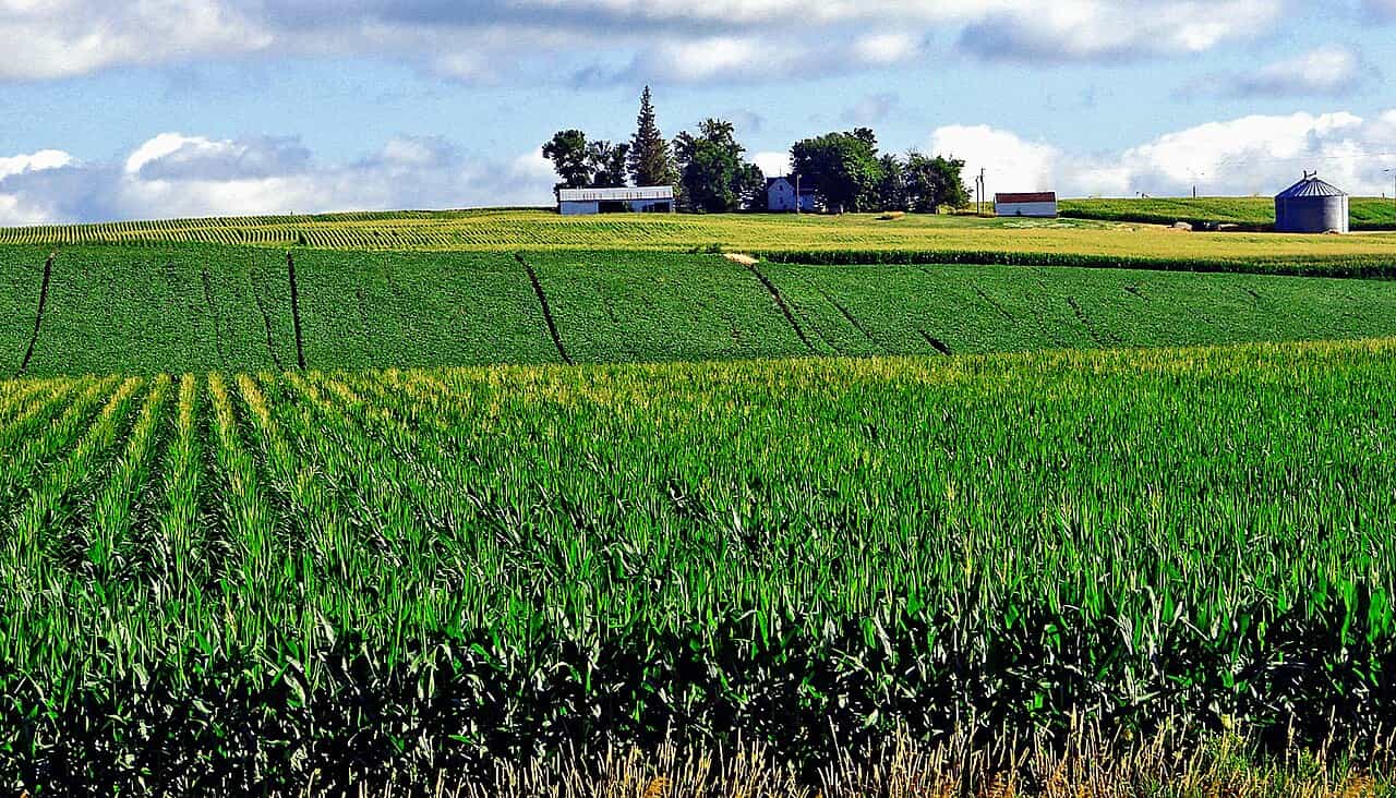 Iowa farmland
