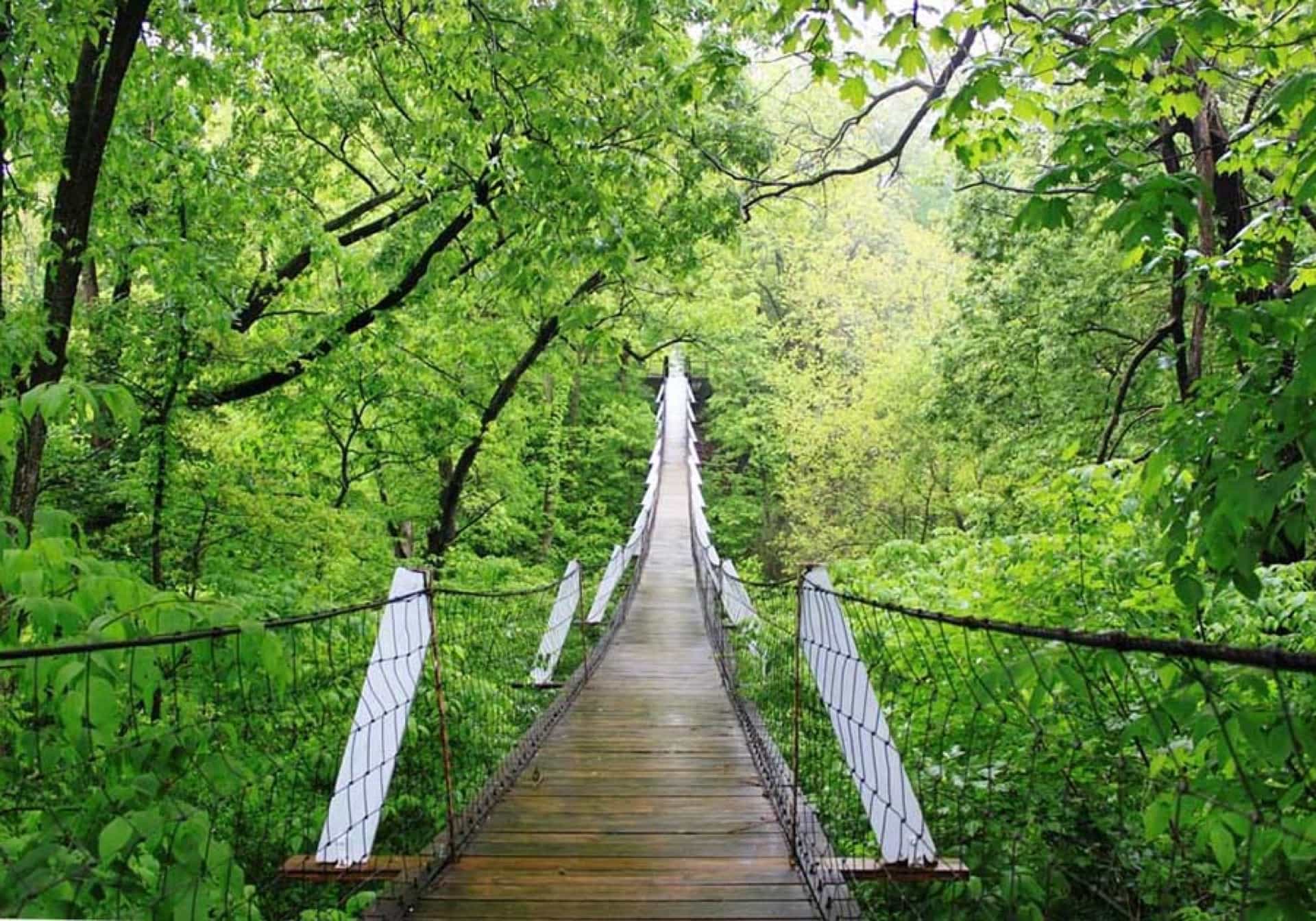 An Iowa state park